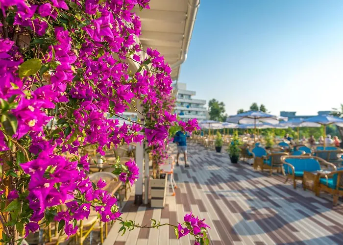 Hotel Mera Onix Jupiter